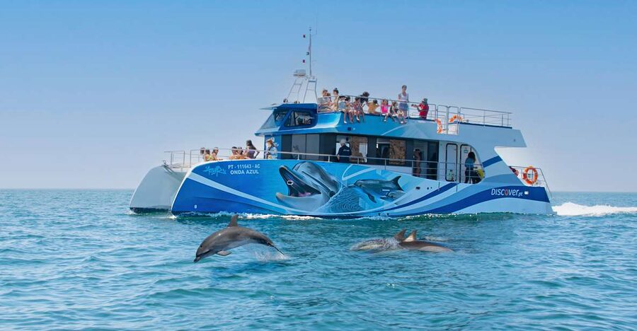Lagos: Dolphins & Caves - Catamaran - The catamaran is part of the appeal