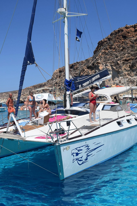 Lampedusa: Dolphin watching with aperitif at sunset - Cocktails and island appetizers at sunset