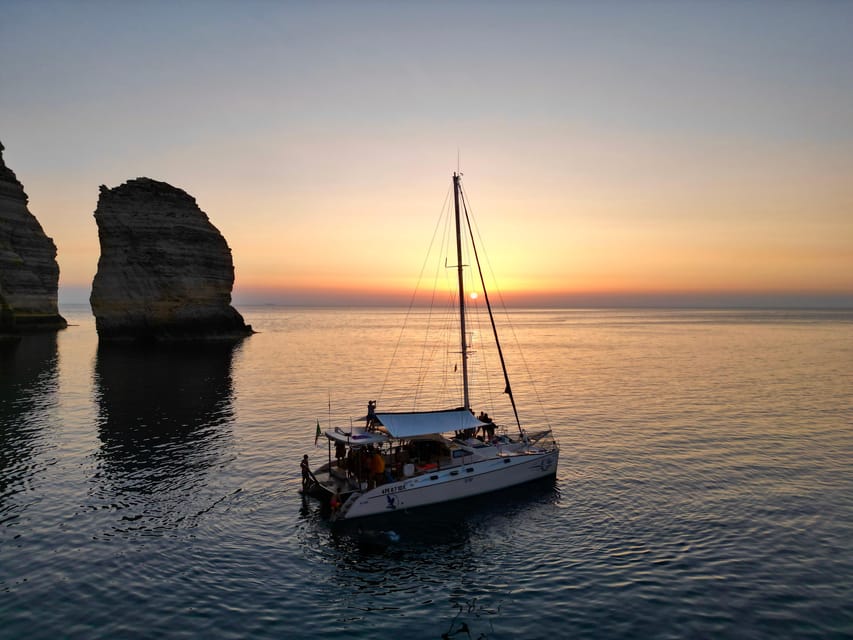 Lampedusa: Dolphin watching with aperitif at sunset - What to bring and how to plan the evening
