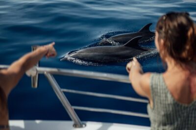 Lana’i Snorkel And Dolphin Quest with Maui Turtle Spot Tour