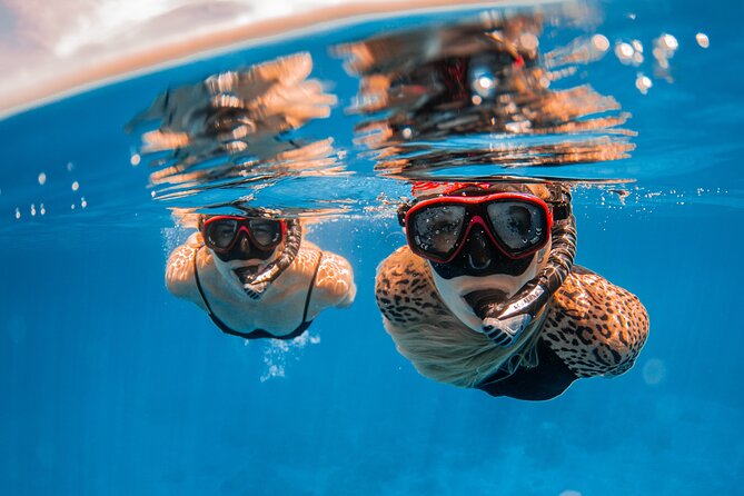 Lana'i Snorkel And Dolphin Quest with Maui Turtle Spot Tour - A crew that stays involved