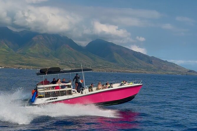 Lana'i Snorkel And Dolphin Quest with Maui Turtle Spot Tour - How the cost measures up