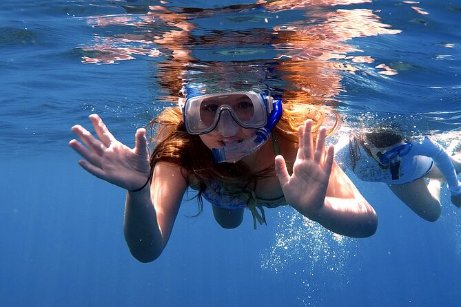 Lana'i Snorkel And Dolphin Quest with Maui Turtle Spot Tour - Who will enjoy this tour most