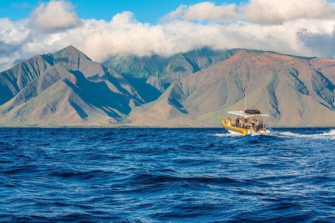 Lanai Deluxe Dolphin Adventure & 3 Snorkel Sites - The run toward Lanai
