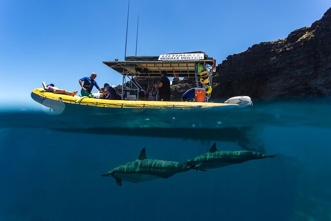 Lanai Deluxe Dolphin Adventure & 3 Snorkel Sites - Breakfast, lunch, and a surprisingly useful food plan