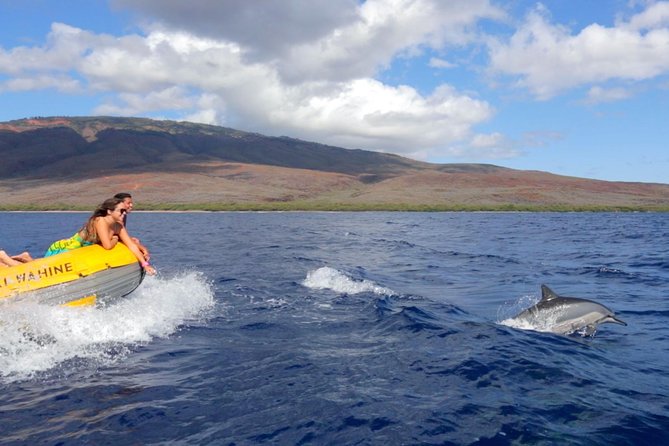Lanai Deluxe Dolphin Adventure & 3 Snorkel Sites - Guides who make a practical difference