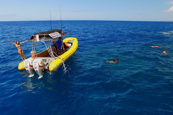 Lanai Deluxe Dolphin Adventure & 3 Snorkel Sites - Snorkel stops around Lanai