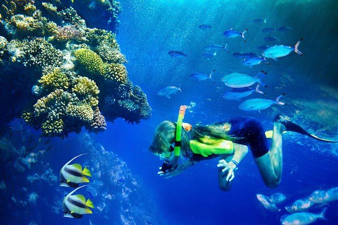 Lanai Snorkel and Dolphin Watch from Maalaea - Crossing from Maalaea to Lanai