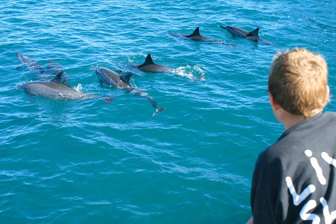 Lanai Snorkel and Dolphin Watch from Maalaea - Breakfast, lunch, and the practical value of the fare
