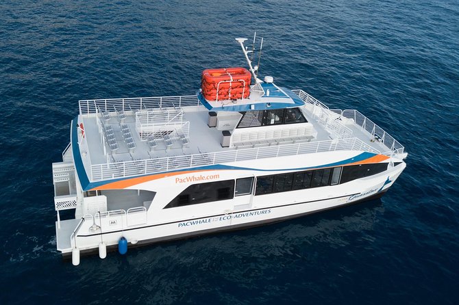 Lanai Snorkel and Dolphin Watch from Maalaea - What to bring and what to skip