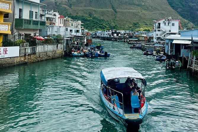 Lantau Group Tour: Dolphin Watching, Fishing Village & Cable Car - What the guide adds to a coach-based day