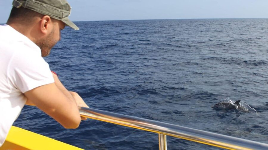 Lanzarote: 2.5-Hour Sunset and Dolphins Cruise - Searching the Atlantic for dolphins and whales