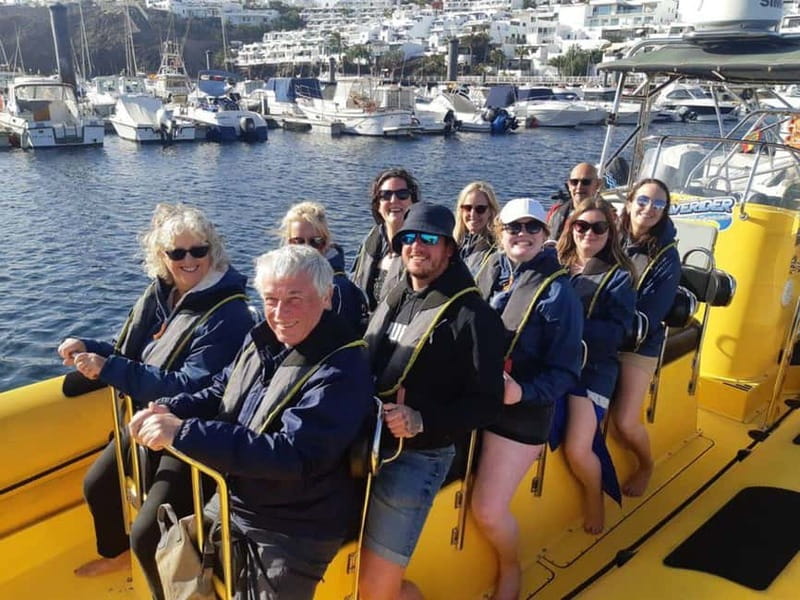 Lanzarote: Dolphin Watching by speedboat - Is $77 a fair price?
