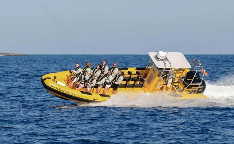 Lanzarote: Dolphin Watching by speedboat - Who will enjoy this trip most?