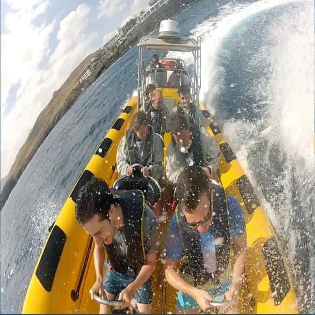 Lanzarote: Dolphin Watching by speedboat - Timing, languages, and flexibility