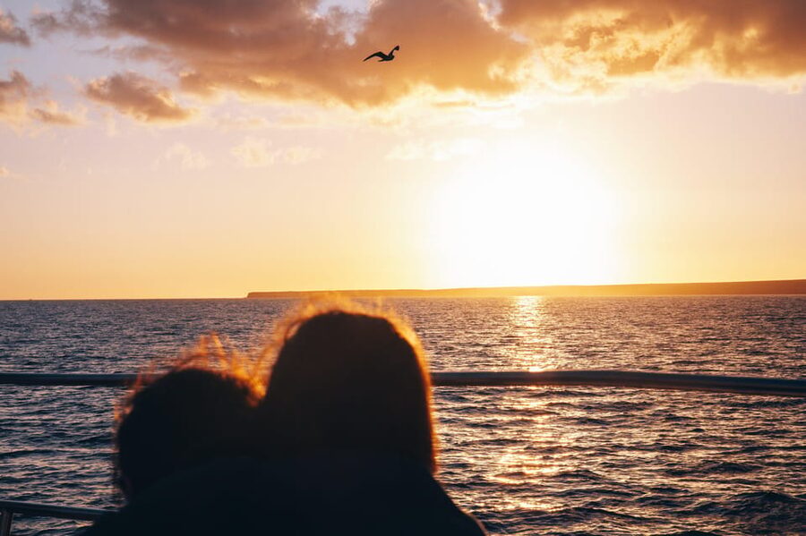 Lanzarote: Dolphin-Watching Sunset Cruise with Transfers - Key points to know before you book