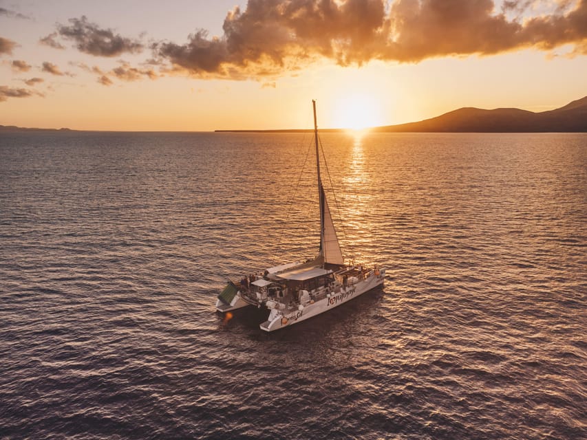 Lanzarote: Dolphin-Watching Sunset Cruise with Transfers - Setting out from Puerto del Carmen at sunset