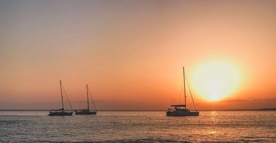 Lanzarote: Dolphin-Watching Sunset Cruise with Transfers - Searching the Atlantic for dolphins