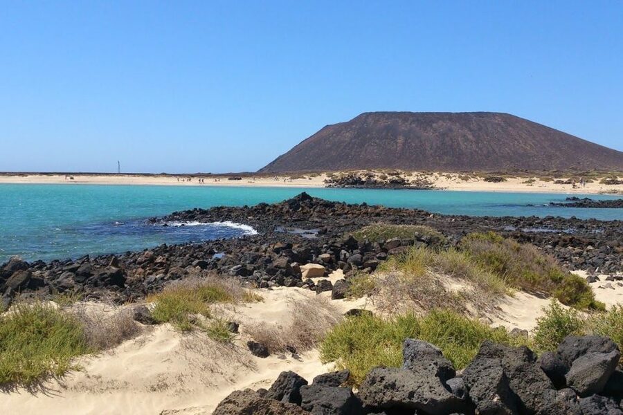Lanzarote: Lobos Island Half-Day Dolphin Watching Trip - Booking details worth checking