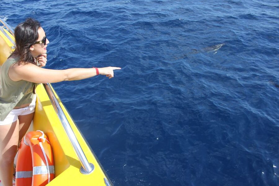 Lanzarote: Lobos Island Half-Day Dolphin Watching Trip - The return boat ride can be the roughest part