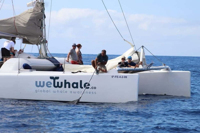 Lanzarote Sunset Experience with dolphin spotting - Key points to know before you book