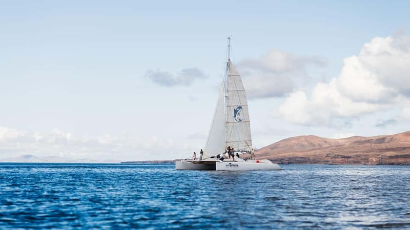 Lanzarote Sunset Experience with dolphin spotting - Sunset light and Lanzarote’s coastal views