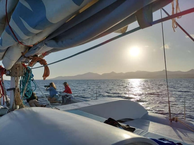 Lanzarote Sunset Experience with dolphin spotting - The hydrophone and the sounds beneath the boat