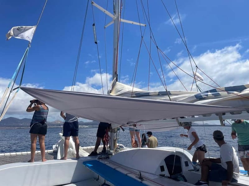 Lanzarote Sunset Experience with dolphin spotting - Booking details that matter at Marina Puerto Calero