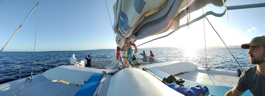 Lanzarote: Whale and Dolphin Watching Eco-Friendly Catamaran - Choosing the best conditions