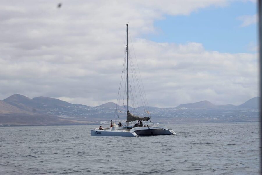 Lanzarote: Whale and Dolphin Watching Eco-Friendly Catamaran - Setting off from Puerto Calero and Pontoon F22
