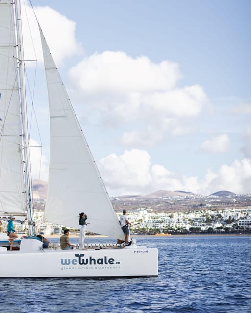 Lanzarote: Whale and Dolphin Watching Eco-Friendly Catamaran - The hydrophone makes the sea feel less silent