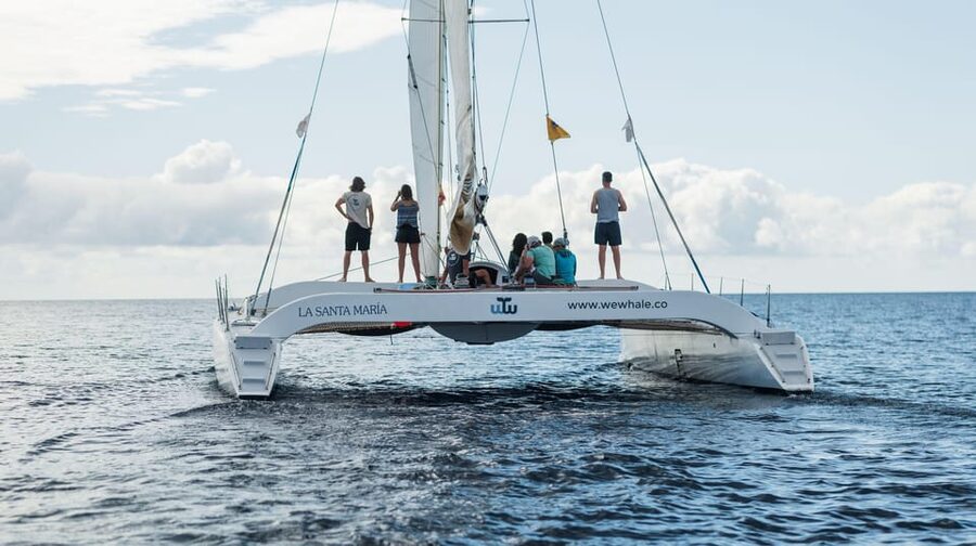 Lanzarote: Whale and Dolphin Watching Eco-Friendly Catamaran - Crew commentary in three languages