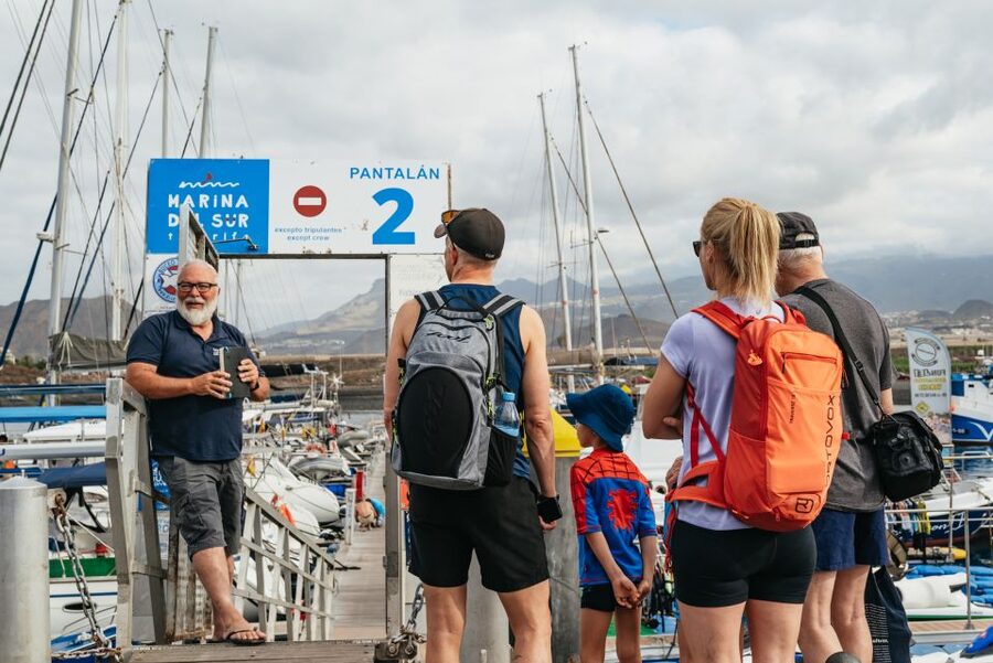Las Galletas: Whale & Dolphin Tour with Local Skipper - Key points to know before booking