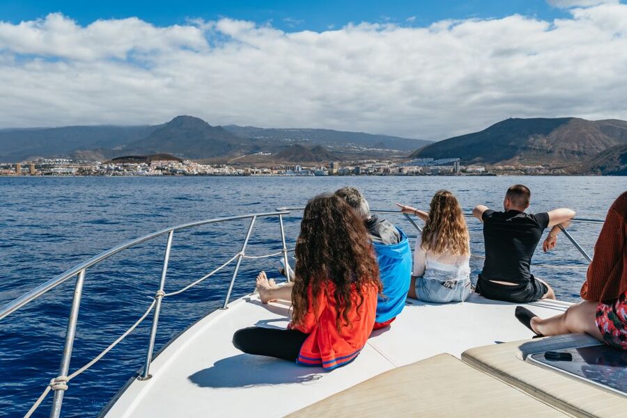 Las Galletas: Whale & Dolphin Tour with Local Skipper - Who will enjoy this boat trip most?