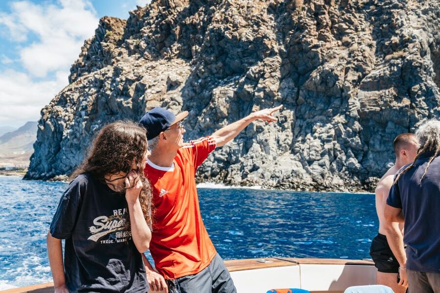 Las Galletas: Whale & Dolphin Tour with Local Skipper - Searching for whales, dolphins, turtles, and flying fish