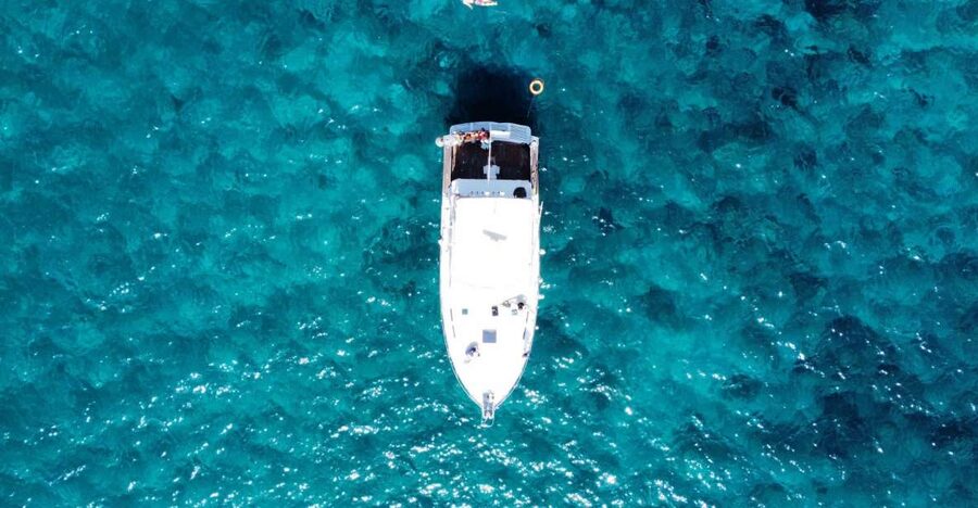 Las Galletas: Whale & Dolphin Tour with Local Skipper - Swimming and snorkeling in clear coastal water