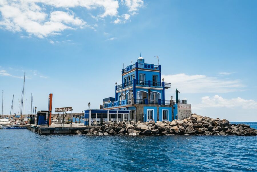 Las Galletas: Whale & Dolphin Tour with Local Skipper - Homemade food on the way back