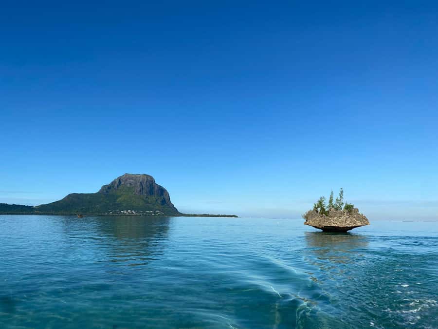 LE MORNE DOLPHINS SUNRISE TRIP - Language, crew, and the feel of the trip