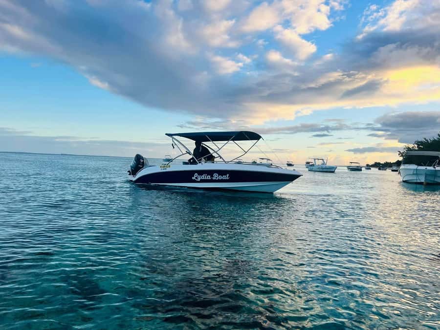 Le Morne: Private Boat Tour Dolphin-Watching & swimming - Swimming with the dolphins