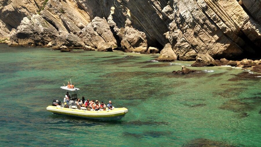 Lisbon: Arrábida Natural Park Dolphin Watching Boat Tour - Lisbon transport or your own way to Sesimbra?
