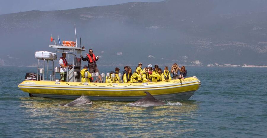 Lisbon: Arrábida Natural Park Dolphin Watching Boat Tour - Leaving Sesimbra for Arrábida’s marine reserve