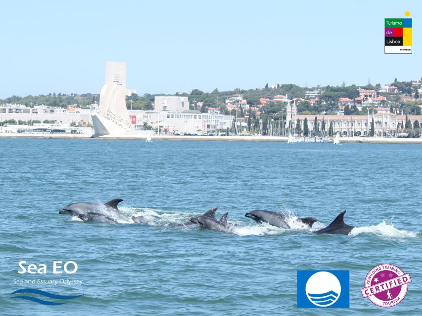 Lisbon: Dolphin Watching with Marine Biologist - Bugio Lighthouse and the open-water views