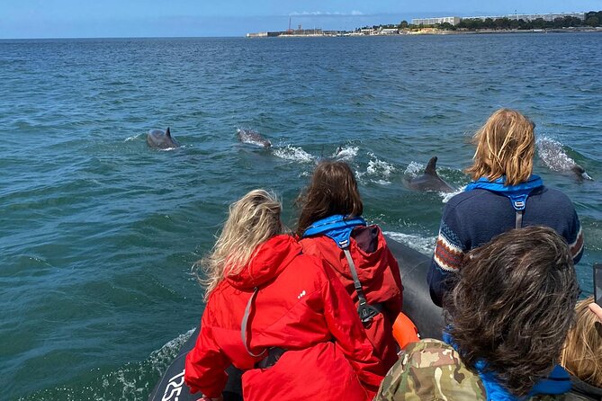 Lisbon: Dolphin Watching with Marine Biologist - Small Group - The guides make the difference