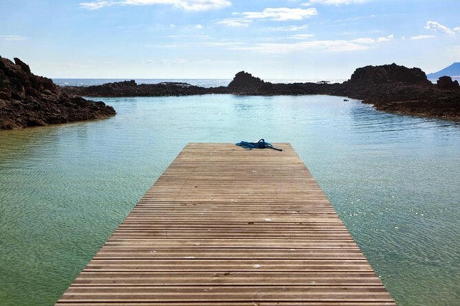 Lobos Island - The dolphin route - Key points to know before booking