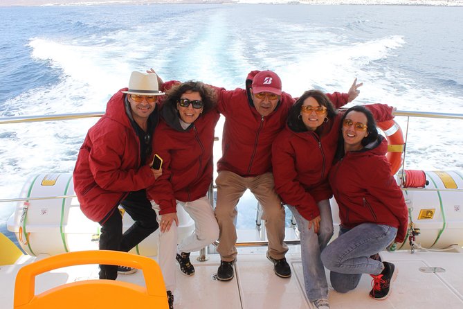 Lobos Island - The dolphin route - Lobos Island gives you two hours to choose your own pace