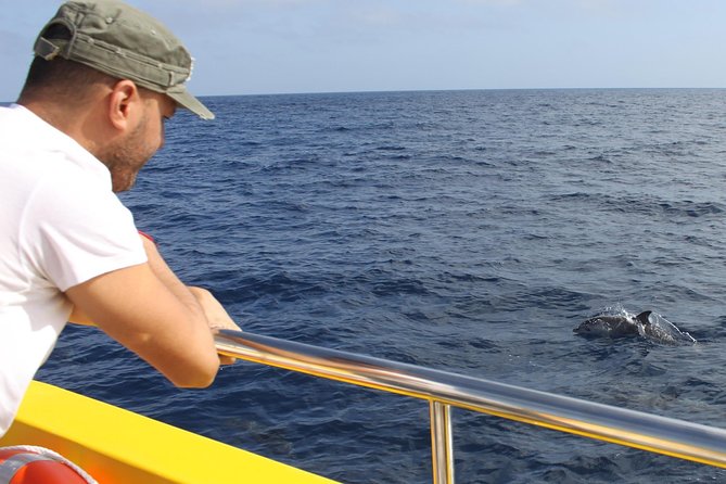 Lobos Island - The dolphin route - Is $86.50 good value?