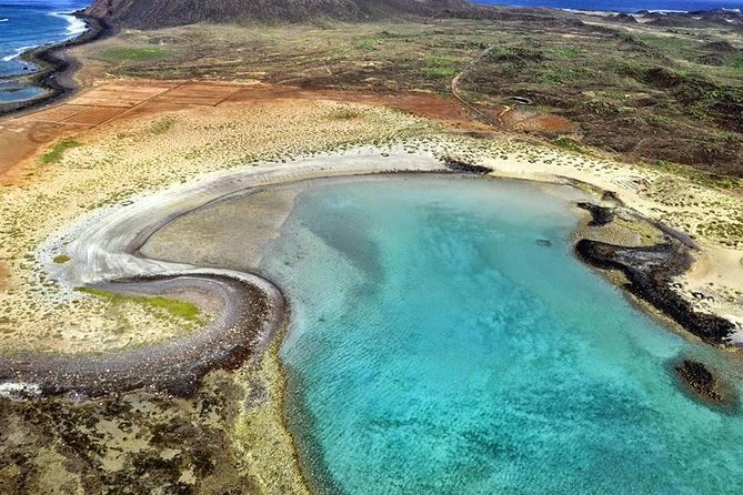 Lobos Island - The dolphin route - Who will enjoy this five-hour outing?