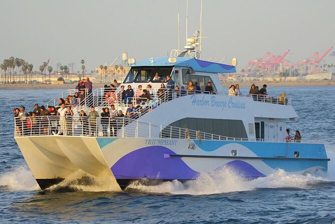Los Angeles Whale and Dolphin Watching Cruise from West Harbor - A stable catamaran, but rough water is still possible