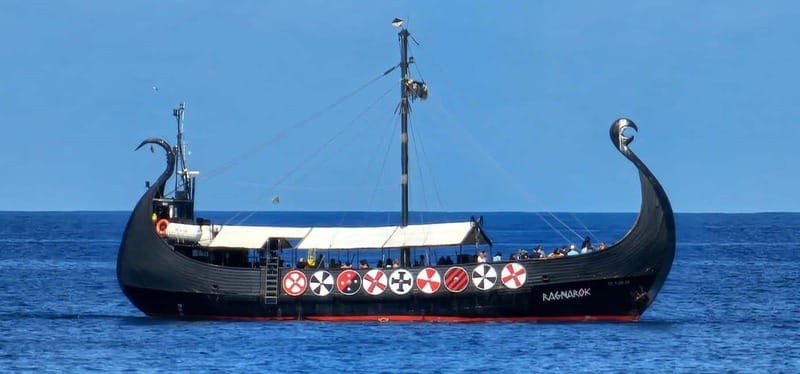 Los Cristianos: Viking Cruise Whales & Dolphins Watching - Comfort, shade, food, and the practical details