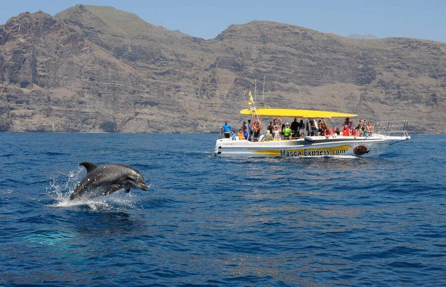 Los Gigantes: Dolphin & Whale Watching Cruise with Swim Stop - Setting out toward the Teno-Rasca Whale Sanctuary